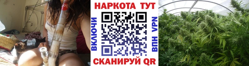 Виды наркоты Красавино МЕТАДОН А ПВП Гашиш Канабис