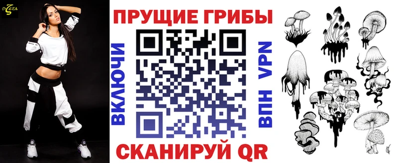 закладки  Красавино  Галлюциногенные грибы Psilocybe 